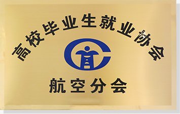 十二年来